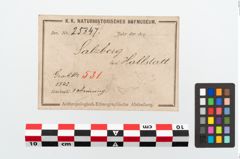Etikett zu Bronzearmreif (NHMW-PRAE-025347)